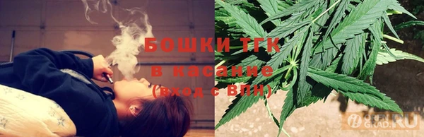 гашик Алексеевка